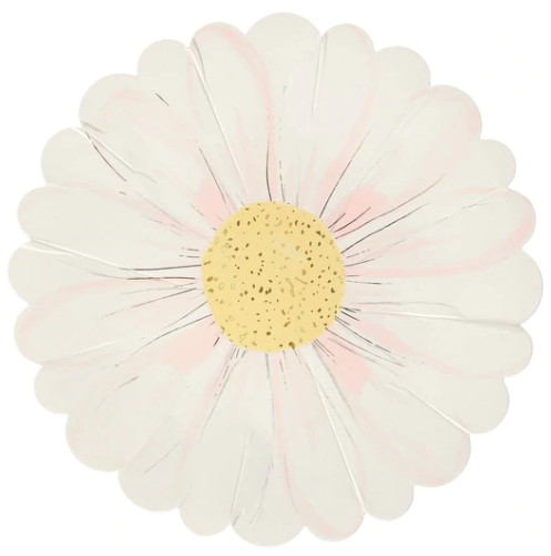 Platos Wild Daisy