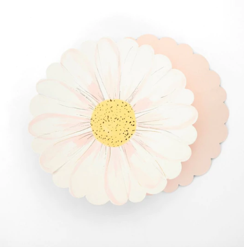 Platos Wild Daisy