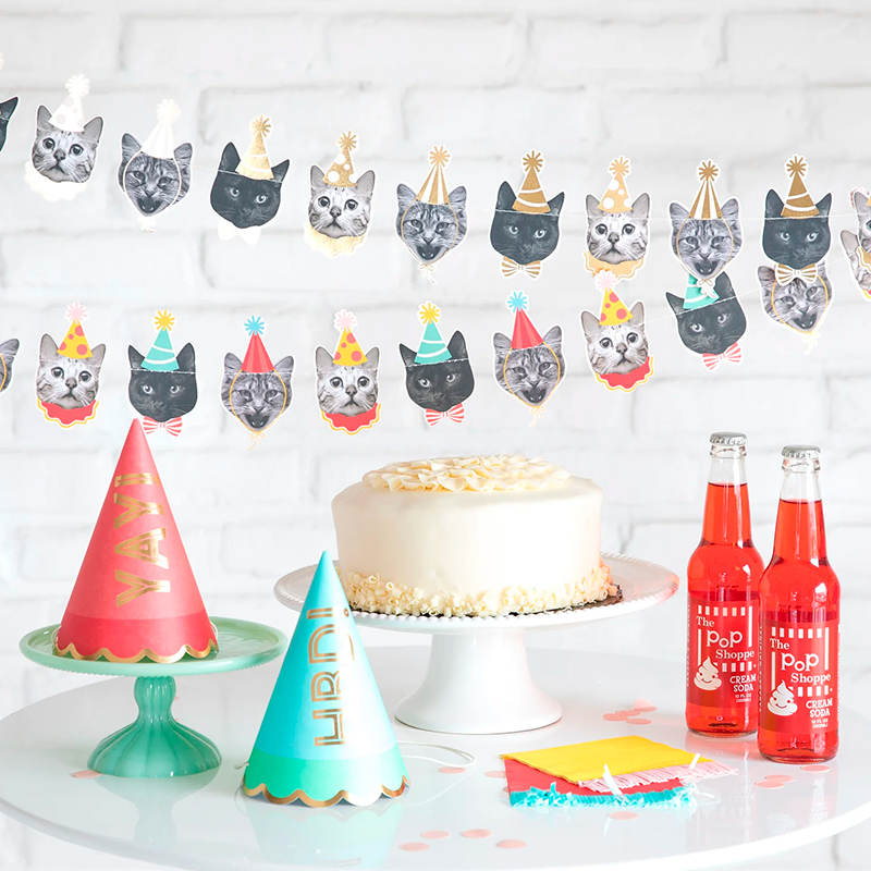 Fiesta de Gatos